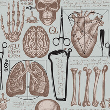 Anatomy Seamless Pattern With Draw Human Organs