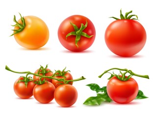 Wall Mural - Realistic tomatoes. 3d vegetables, whole fruits on twigs, green leaves, red and yellow agricultural natural products, fresh cooking, juice and ketchup ingredients, vector food isolated set