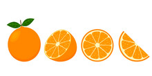 Set Of Fresh Oranges. Orange Fruit Isolated On White Background. Vector Illustration For Design And Print