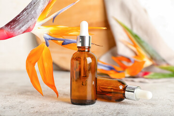 Bottles of essential oil and strelitzia flowers on light background