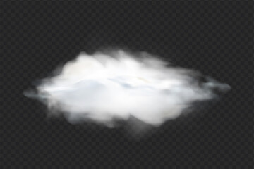 Wall Mural - Vector cloud of smoke or fog. Fog or cloud on an isolated transparent background. Smoke, fog, cloud png