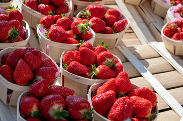 Wall Mural - Sweet ripe french red strawberries in wooden boxes on Provencal farmers market, Cassis, France.