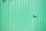 Fototapeta Dmuchawce - Old wooden texture, wall background, fence.