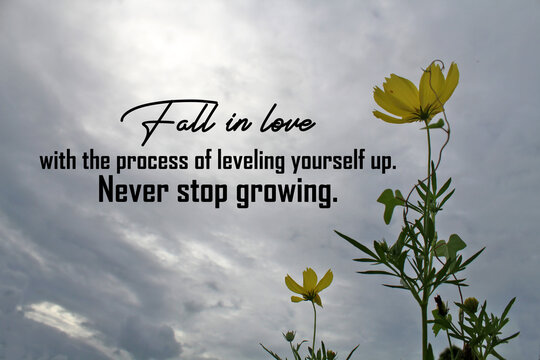 Wall Mural -  - Inspiration motivational quote - Fall in love with the process of leveling yourself up. Never stop growing. With yellow will cosmos flowers on blue gray sky background. Words of wisdom.