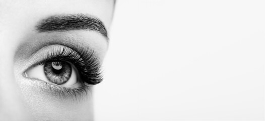 Wall Mural - female eye with extreme long false eyelashes. eyelash extensions. makeup, cosmetics, beauty. close u