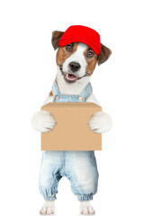 Wall Mural - Jack russell terrier puppy wearing overalls and red cap holds big box. isolated on white background