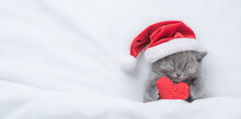 Lovely Kitten Wearing Red Santa's Hat Sleeps Under A White Blanket On A Bed. Top Down View. Empty Space For Text
