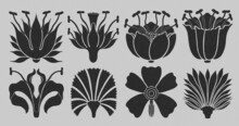 Art Nouveau Style Flower Plant Basic Element. 1920-1930 Years Vintage Design. Symbol Motif Design.