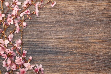 Spring Beautiful blossom bouquet of fresh flowers