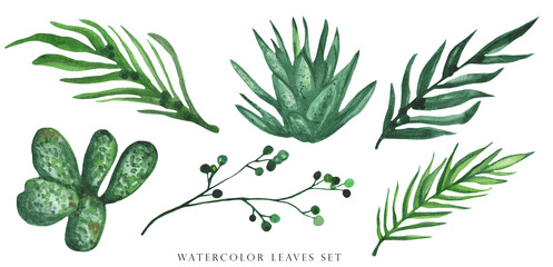 Wall Mural - Exotic plants, palm leaves, monstera on an isolated white background, watercolor illustration