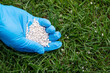 Fertilizing grass with granulated mineral fertilizer