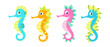 Set of multicolored seahorses in cartoon style. Vector illustration of charming characters aquarium seahorses with bubbles around.