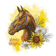 Portrait Of A Horse And Flowers Vector Illustration On Yellow