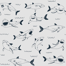 Sharks Vector Seamless Pattern