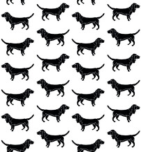 Vector Seamless Pattern Of Hand Drawn Basset Hound Dog Silhouette Isolated On White Background