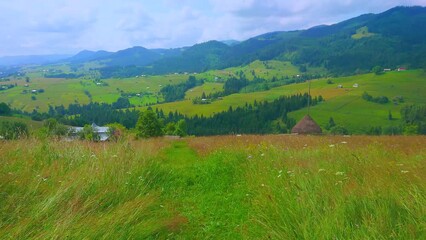 Poster - Walk down the mountain slope, Verkhovyna, Carpathians, Ukraine