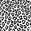 Perfect leopard print seamless pattern, Animal print