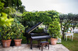 Black piano in the garden among the trees