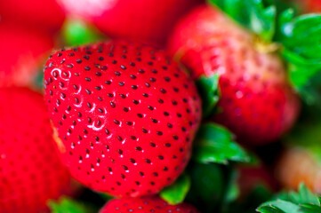 Wall Mural - close-up, fresh, juicy, strawberry, fruit