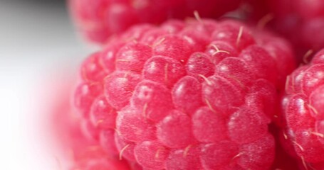 Wall Mural - Close-up of fresh raspberries. Beautiful raspberry background. Macro raspberry.