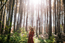 Woman Standing In Autumn Forest