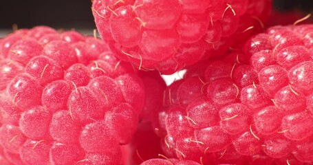 Wall Mural - Close-up of fresh raspberries. Beautiful raspberry background. Macro raspberry.