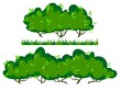 two long cartoon shrubs and a grass bar for an endless border, vector illustrations of garden bushes, set of elements for your design