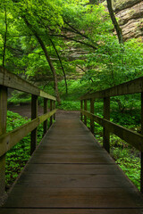 Trail to the Waterfall