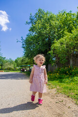 Poster - Child girl in the summer in the park. Selective focus.