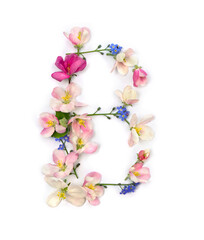 Wall Mural - Letter B of flowers apple tree and blue wildflowers forget-me-nots on white background. Top view, flat lay