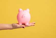 Closeup Shot Of Woman Hand Holding Pink Piggy Bank Backwards To Camera, Investment, Saving Money, Currency, Deposit. Indoor Studio Shot Isolated On Yellow Background.