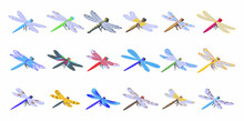 Dragonfly Icons Set Isometric Vector. Nature Animal. Bug Fly