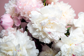 Wall Mural - Amazing Fresh bunch of white and pink peonies