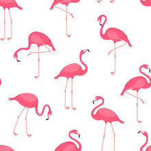 Flamingo Vector Seamless Pattern, Pink Bird Background, Tropical Summer Print. Cute Animal Wallpaper. Cartoon Fashion Texture. Exotic Illustration