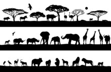 African Landscape With Animals. Vector Illustration