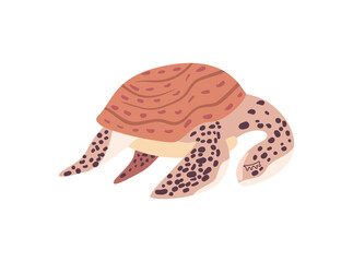 Canvas Print - flat cute turtle