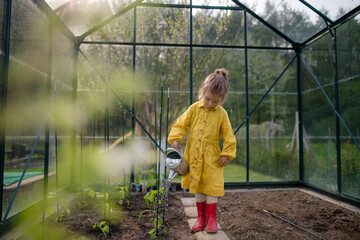 Wall Mural - Little girl taking care of plants when watering them in eco greenhouse, learn gardening.