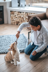 Wall Mural - A boy holding a stick and playing with a puppy