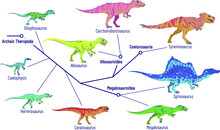 Set Of Dinosaurs