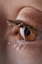 Closeup Brown Eye Of Crop Unrecognizable Sad Kid With Round Small Tears On Long Eyelashes In Light Room At Home