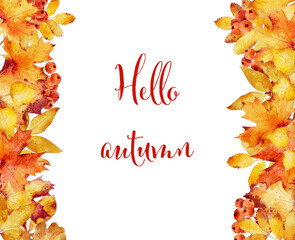 Wall Mural - watercolor autumn leaves isolated on white background.