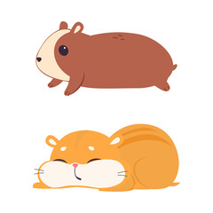 Wall Mural - Cute Hamster Character with Stout Body Lying and Sleeping Vector Set