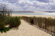 Wooden Fence Path Access Dune Du Pilat Sand Beach Ocean Atlantic Sea In Cap-ferret Pyla France