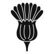 Highland thistle icon simple vector. Flower plant