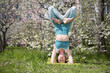 A young woman makes Yoga exercise complex. enjoying the moment. holistic health practices. woman wearing sportswear does a headstand in a spring flowering garden or yard outdoors. Copy space.