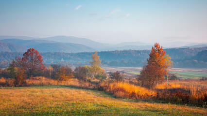 Wall Mural - autumnal rural landscape at sunrise. beautiful mountainous countryside in late autumn season. empty 