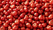 Viele frische rote Tomaten als Hintergrund Textur