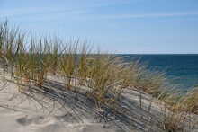 Sand Dunes On The Shore Of The Baltic Sea. Marram Grass (beach Grass) Growing In The Sand. Landscape With Beach Sea View, Sand Dune And Grass.
