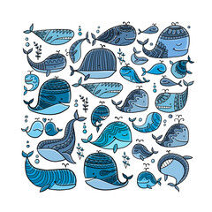 Poster - Wild whales. Childish style square frame for your design