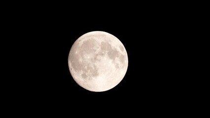 Wall Mural - Full moon on dark black sky background, shot from surface of earth with very long telephoto lens. Grey white moon glowing at clear sky.